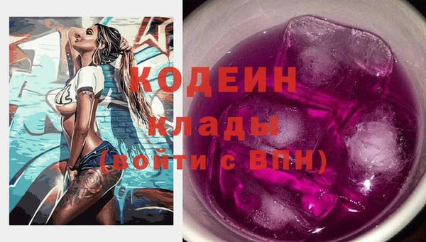 дживик Абаза