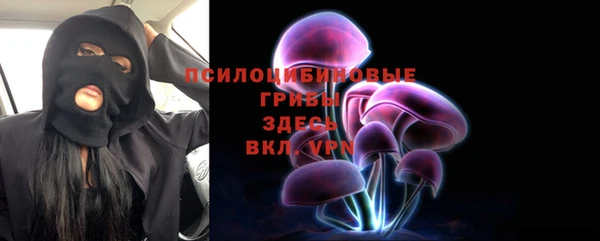 ПСИЛОЦИБИНОВЫЕ ГРИБЫ Абдулино