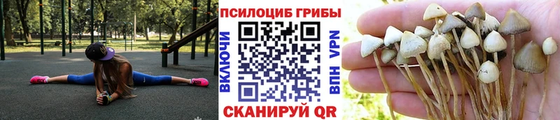 Галлюциногенные грибы Magic Shrooms  Балахна 